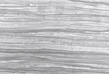 Nestos Grey